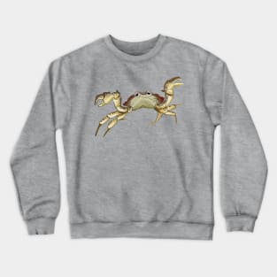 crabby Crewneck Sweatshirt